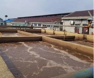 出水氨氮大于進水氨氮，怎么回事？